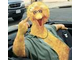 big bird gives bird.jpg